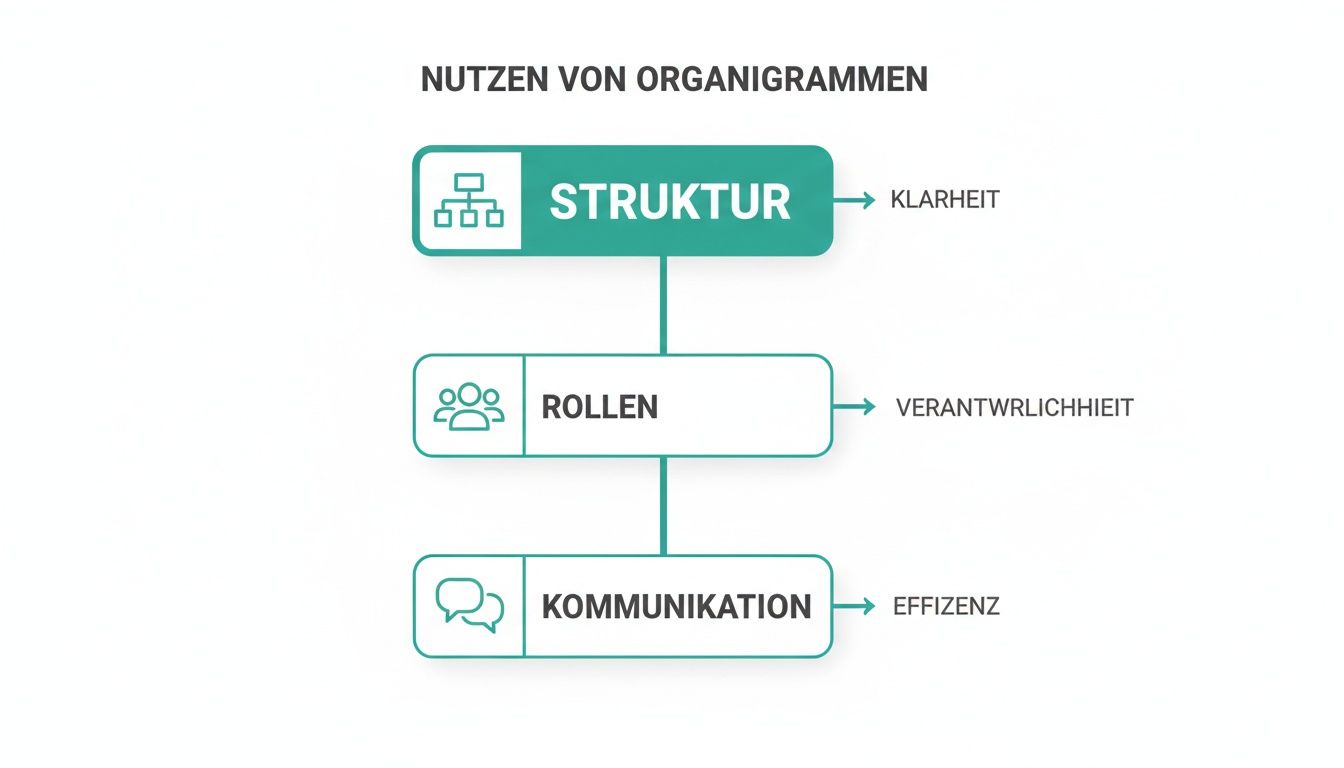 L'infographie montre les avantages des organigrammes : la structure mène à la clarté, les rôles à la responsabilité, la communication à l'efficacité.